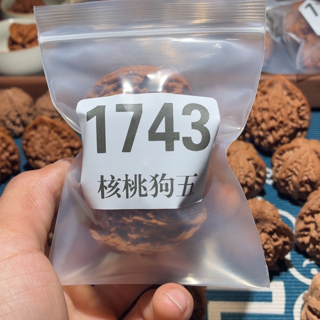 北***.文玩核桃吊坠1743南疆