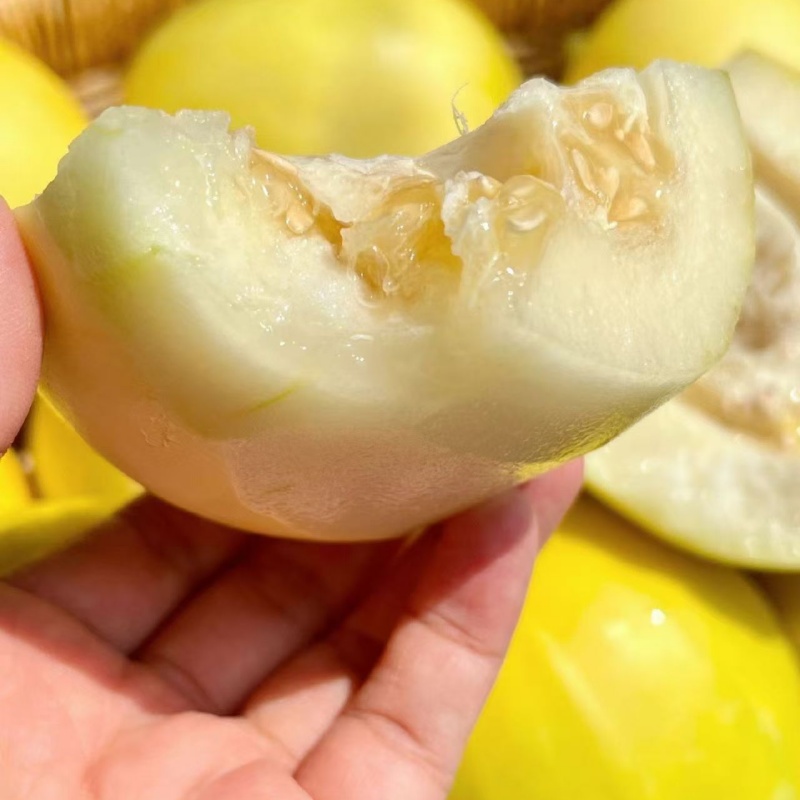 【小蜜蜂甜瓜】当季新鲜水果，脆甜多汁，顺丰发货