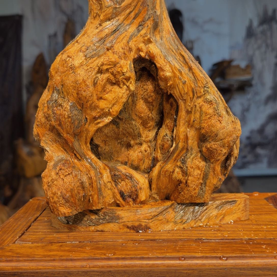 ꧁***馆木三丰琥珀木 天然摆件5