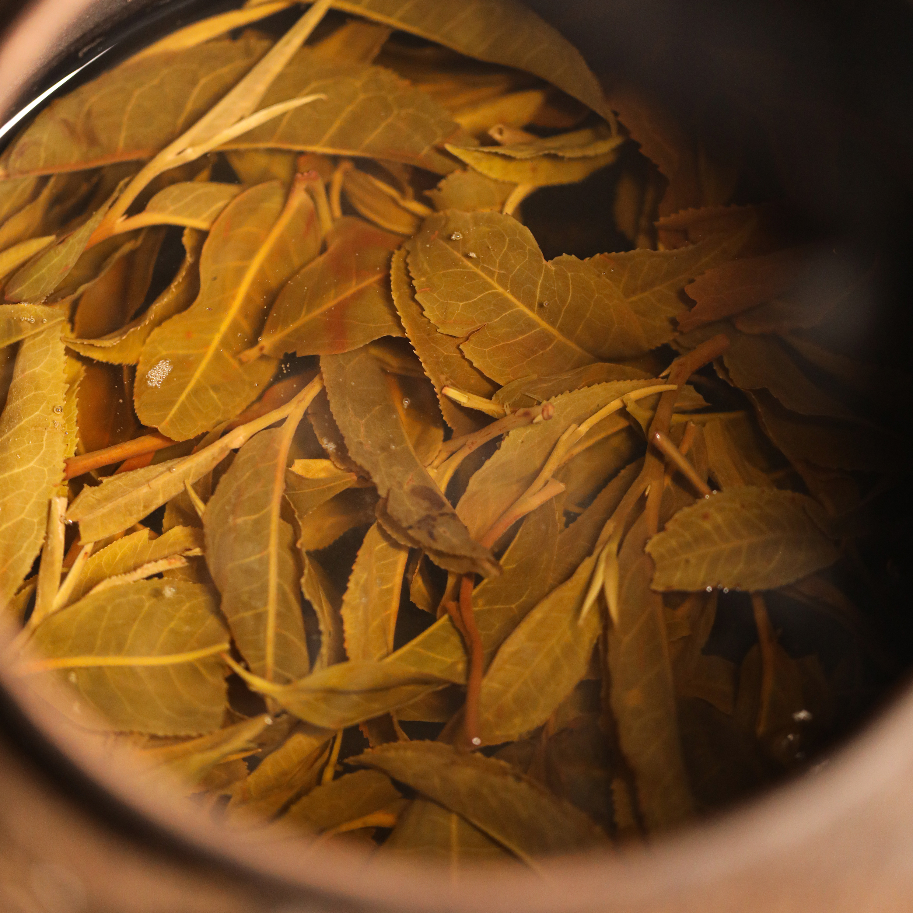 2004年普洱方茶100g  普洱茶  生茶