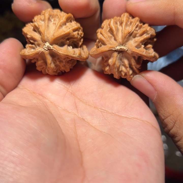 ****️把件文玩核桃34盘山三棱全品
