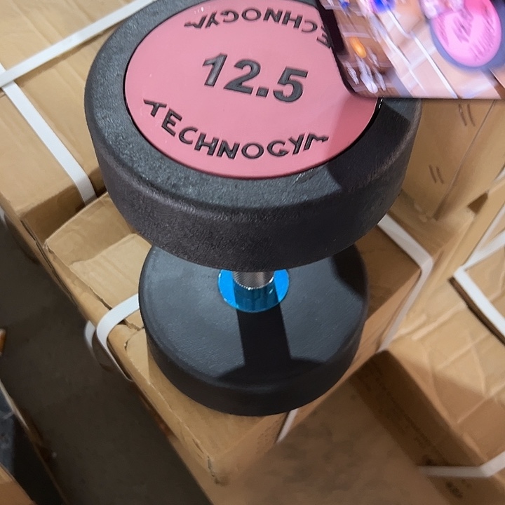 全新纯钢泰诺哑铃12.5公斤一只粉色