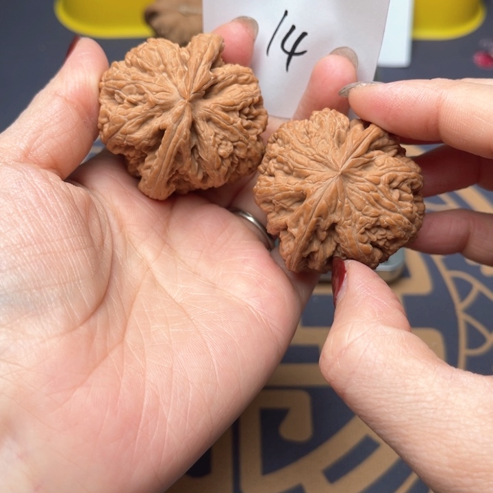 文玩核桃把件43大粗筋