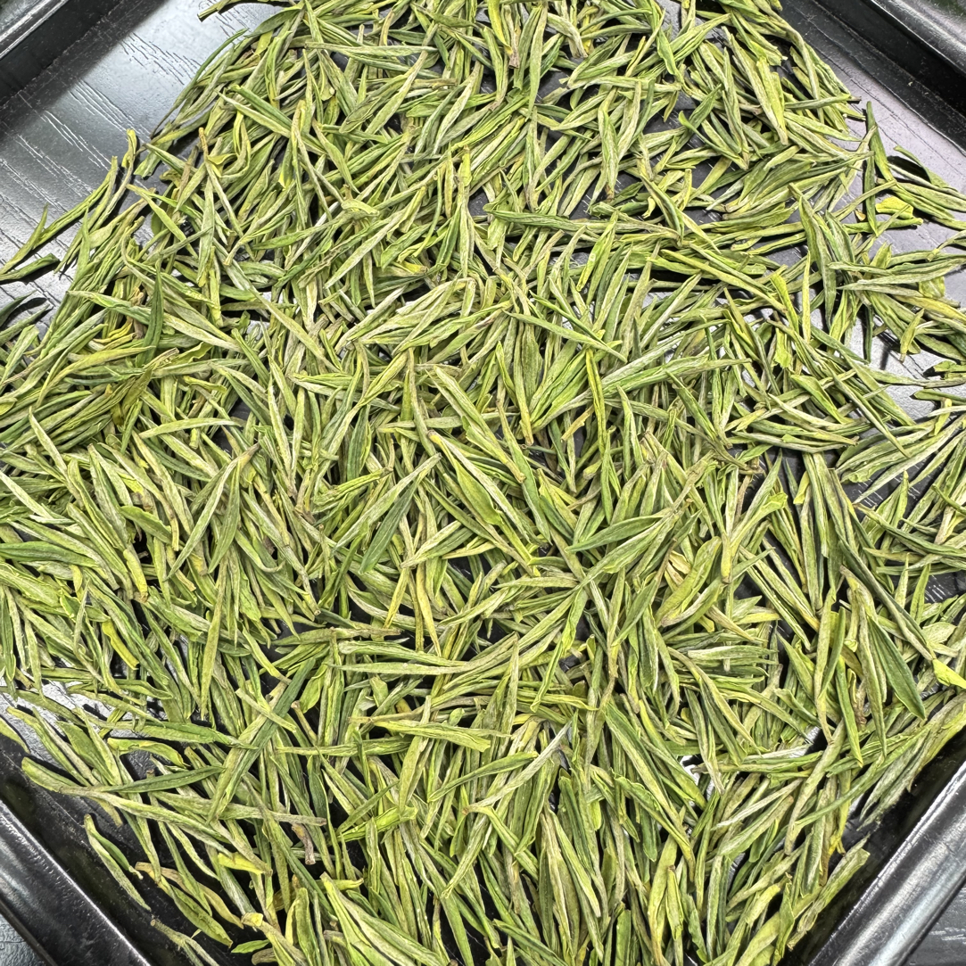 安吉白茶小芽《开园头采》核心产区溪龙高山白茶兰香味浓香型
