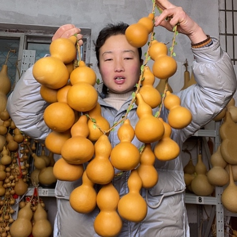 天然植物葫芦文玩