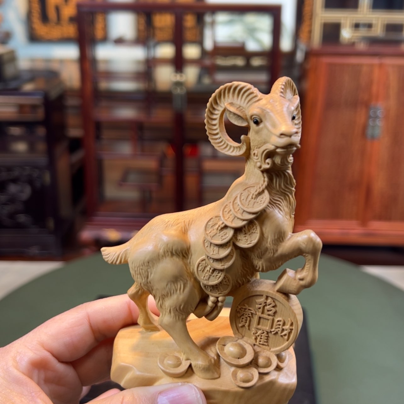 【闪购商品】黄杨木其他黄杨木