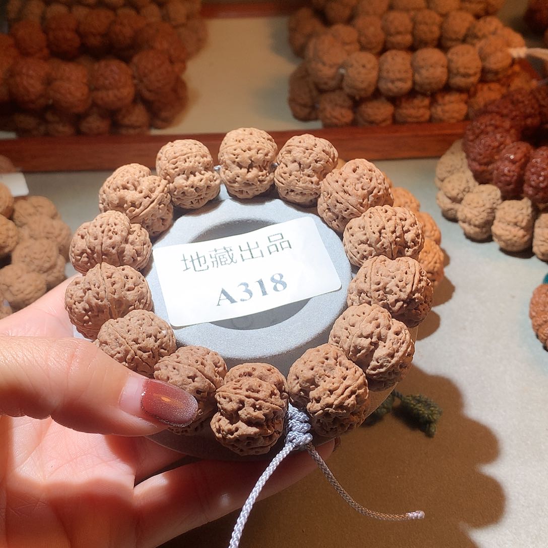 金刚菩提手串风**?23尺寸绝情梅花双龙