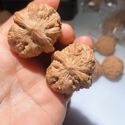 吊坠文玩核桃用****7将军膀