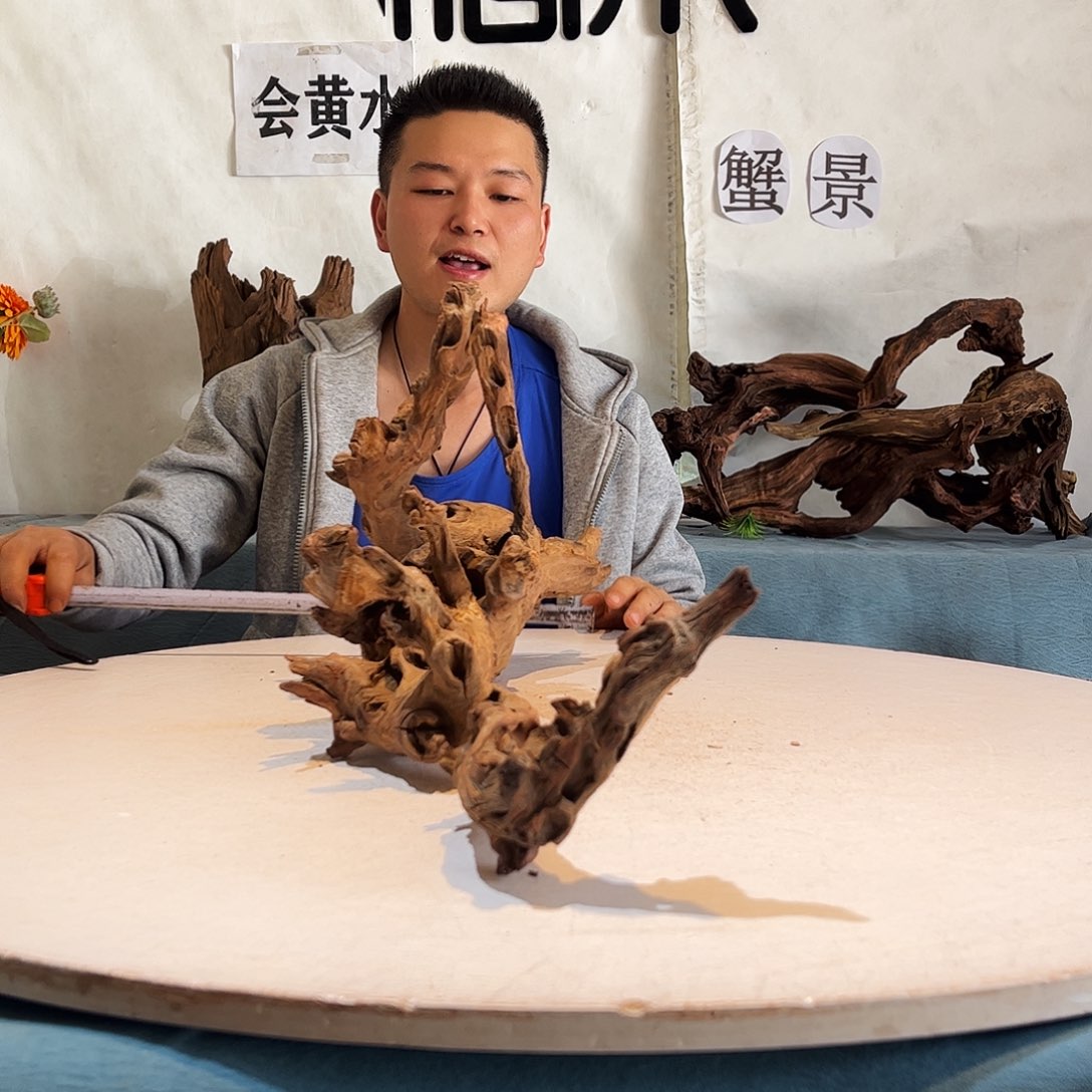 63.29.18 沉木造景爬宠造景
