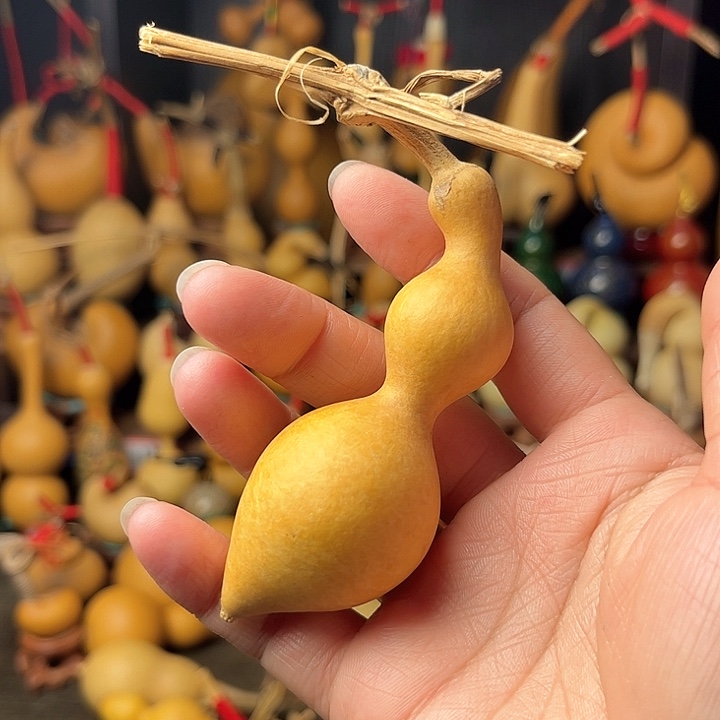 恍**惚小蚂蚁葫芦天天开心