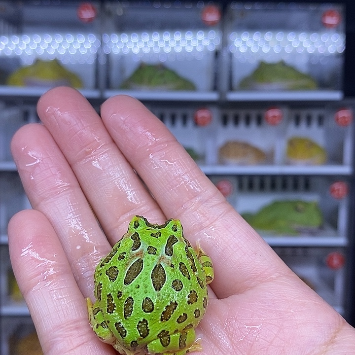 特价秒杀现货供应
