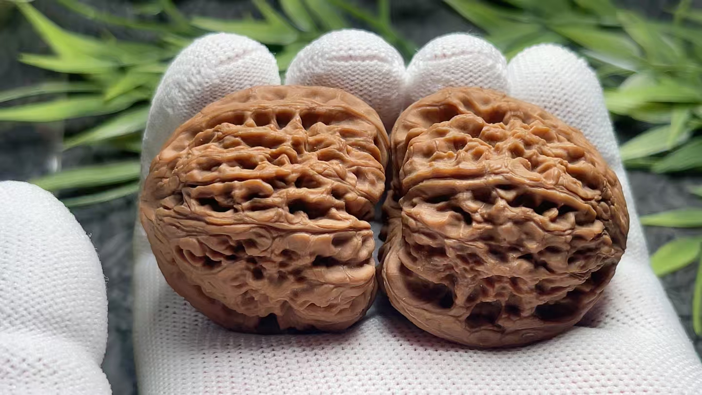 【私欲品质】老树蚂蚁纹凹底南疆石