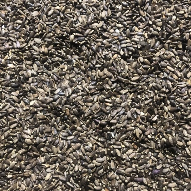 【土特产水飞】蓟净含量500g-1000g