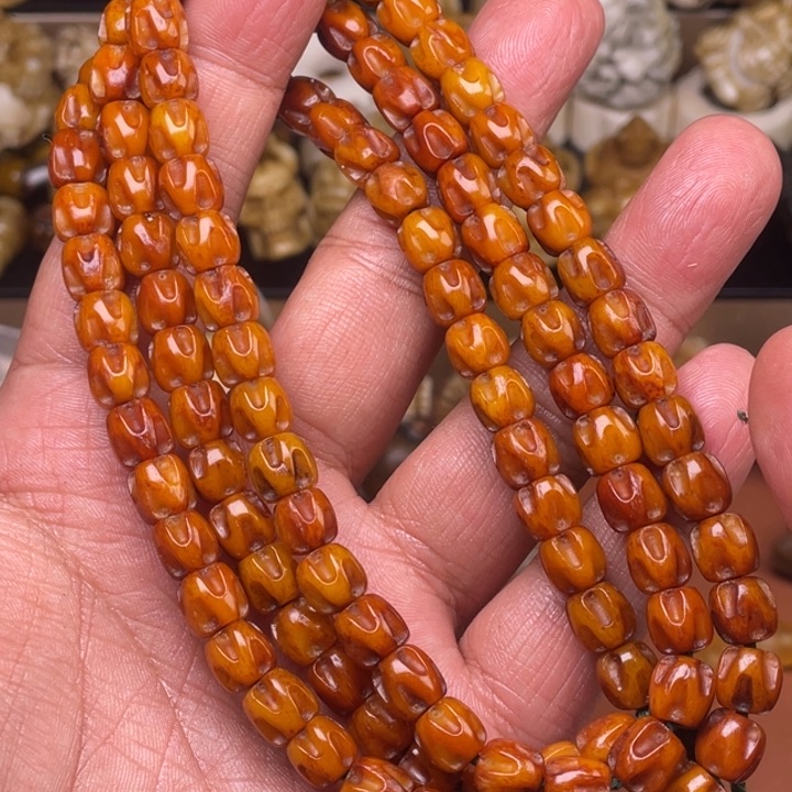 驼骨摆件人工养殖