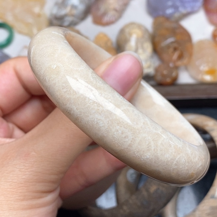 硅化珊瑚（珊瑚玉）手镯未镶嵌59.4