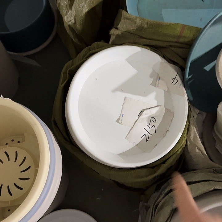 老青山7号纯白托盘5个随单的