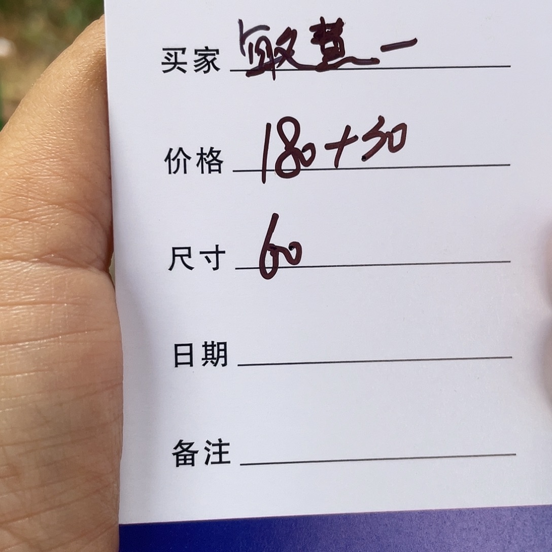 *****非金属所见皆所得