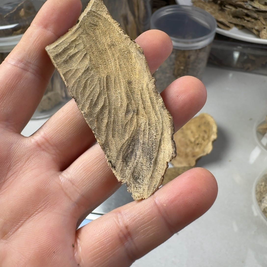 沉香碎屑沉香海南淳化柸料