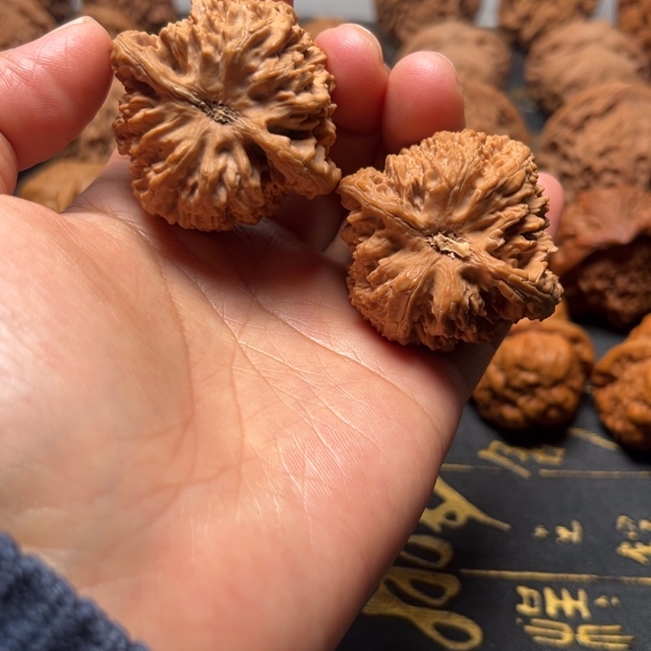 野生小众全品无修