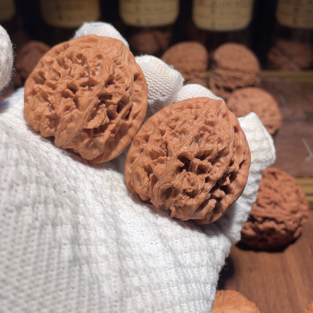 核桃42野牛mmmmmm