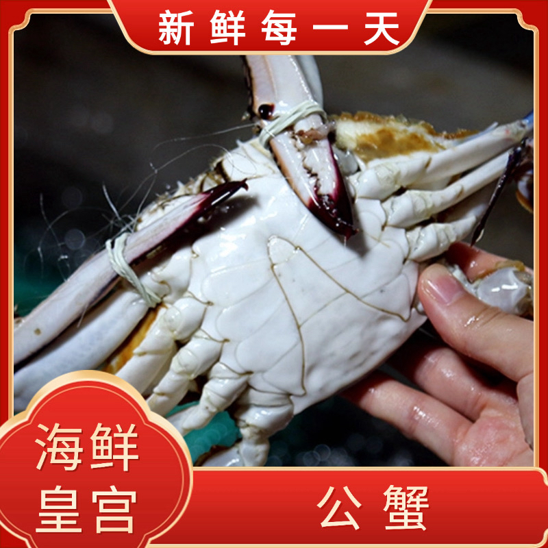 【保鲜不保活】梭子蟹公蟹 每斤2-4只 每只3-5两 个别掉爪 介意慎拍