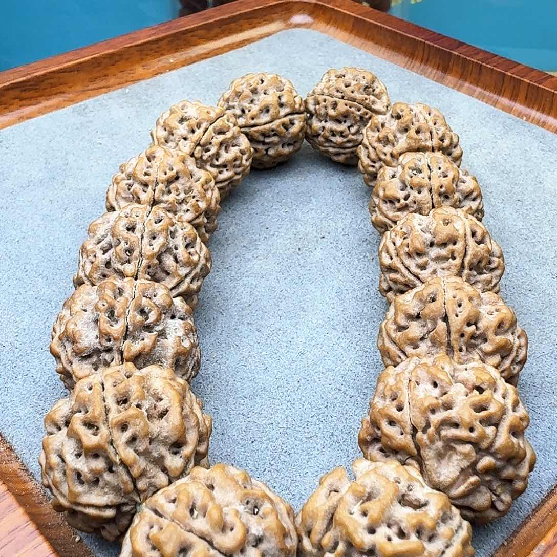 金刚菩提手串铁籽粗筋蜂窝双龙