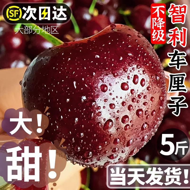 【原箱5斤】智利空运进口桑提娜车厘子应季水果脆甜3-4JD大樱桃2500g顺丰京东（内附果径卡）NN桑提娜智利共和国