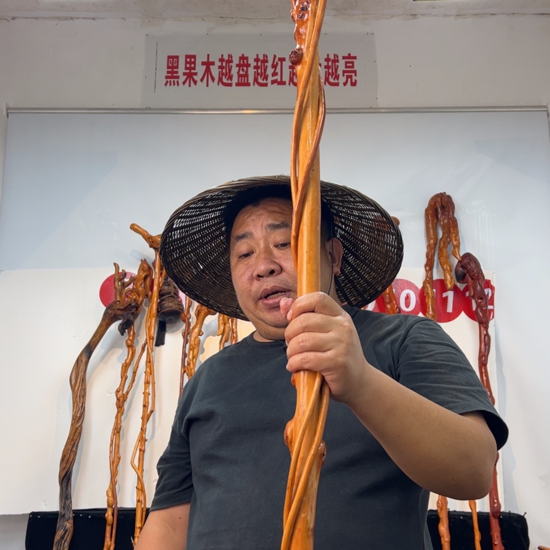 勇***钱黑果木其他黑果木740