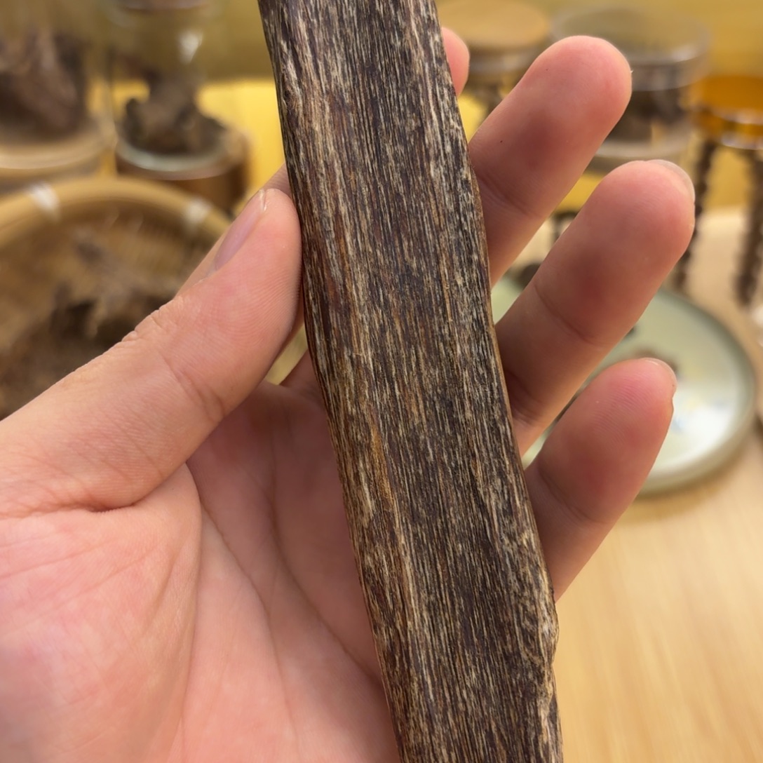 海南虫漏树心油15.5克