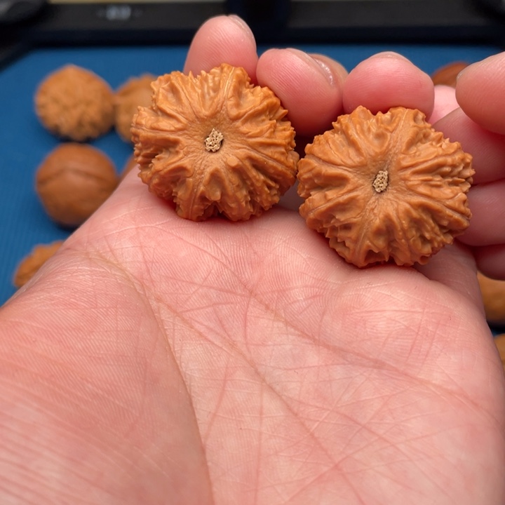 文玩核桃把件小狮子