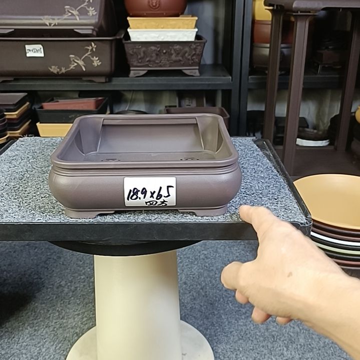 10只18cm收口四方浅盆