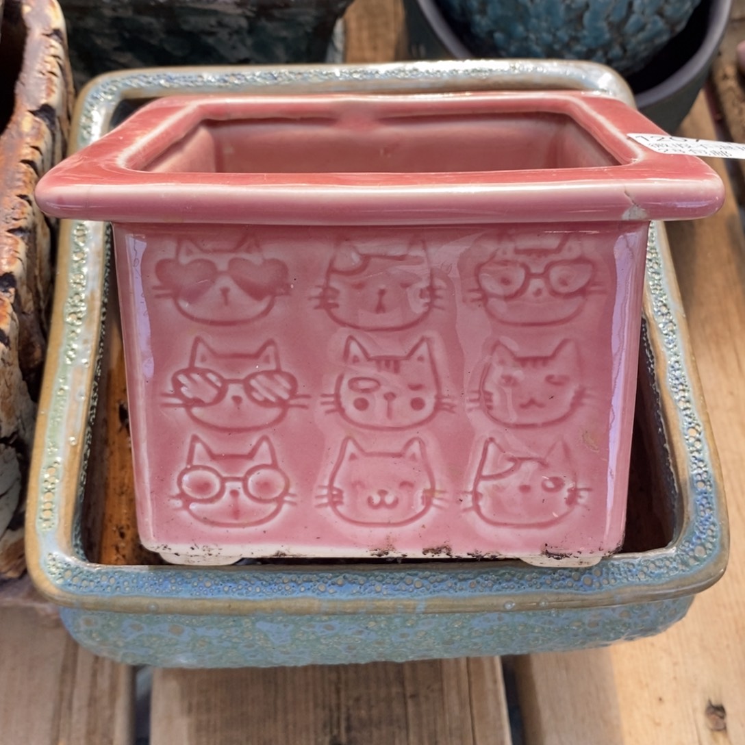 11号多肉盆口径9.5瑕疵瑕疵