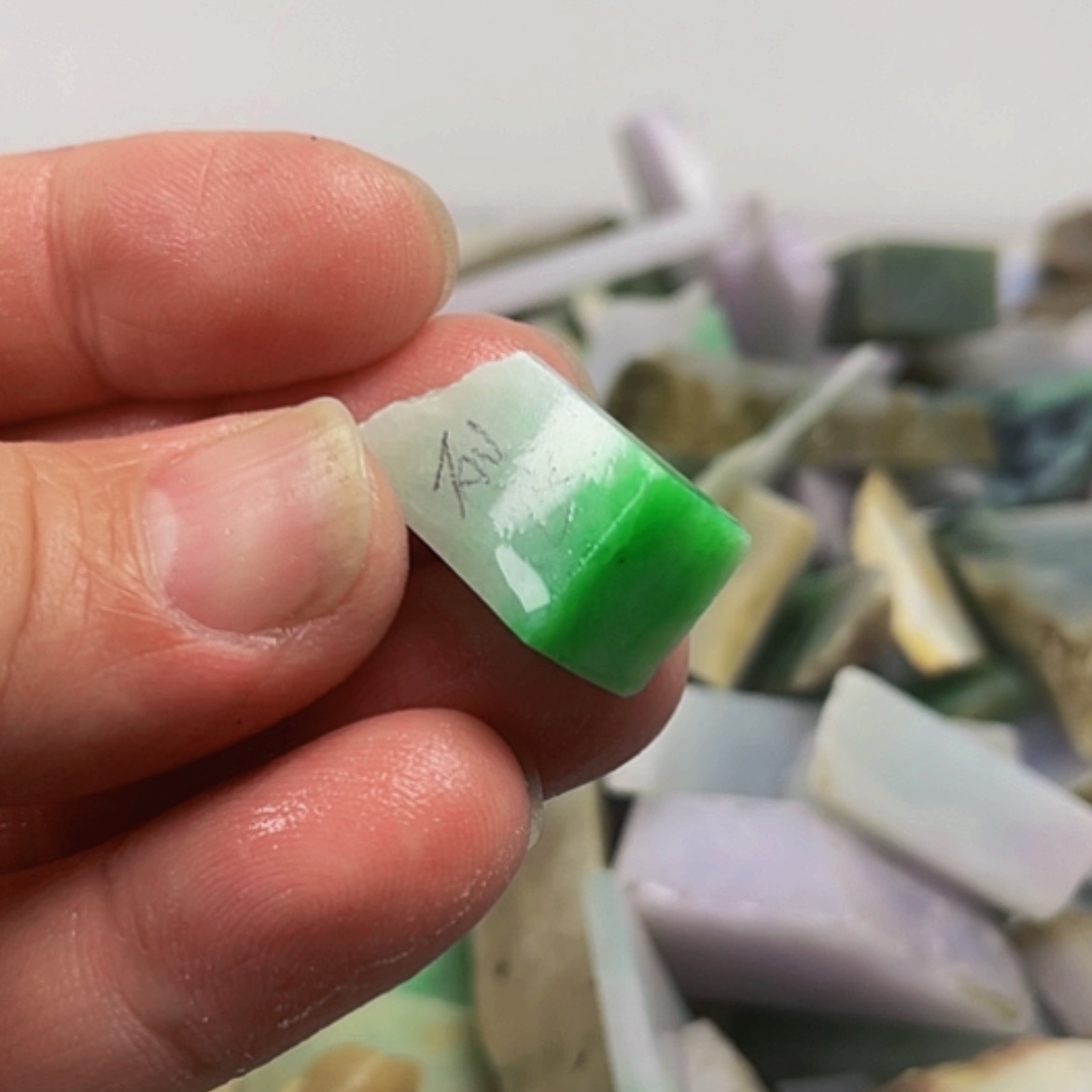 【闪购商品】翡翠颈饰未镶嵌A货