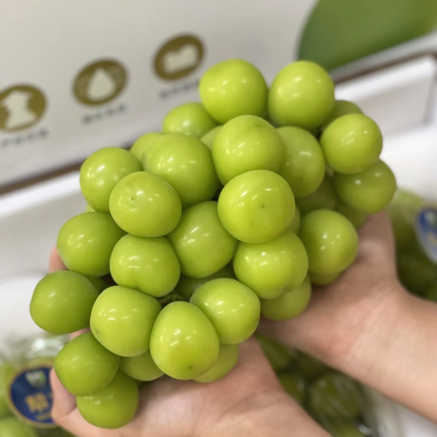 超甜云南花香晴王一串2斤以上（超大颗粒）