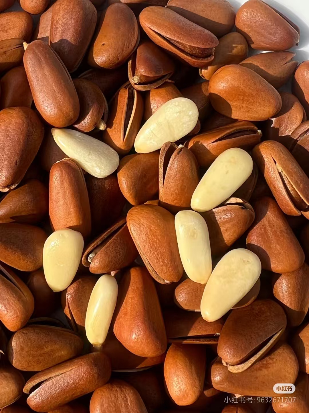 东北大颗粒开口红松子原味手剥坚果休闲零食新货