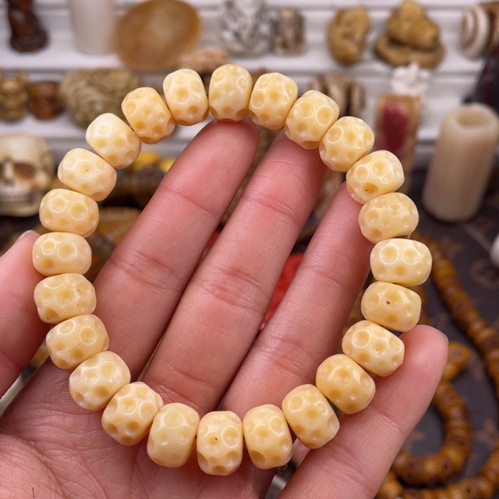 驼骨其他骆驼骨陨石坑12