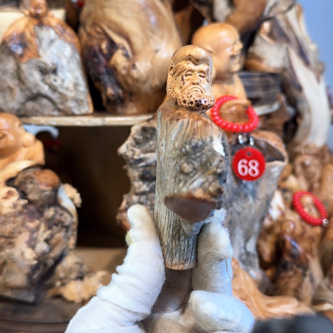 柏木（崖柏）6666666666