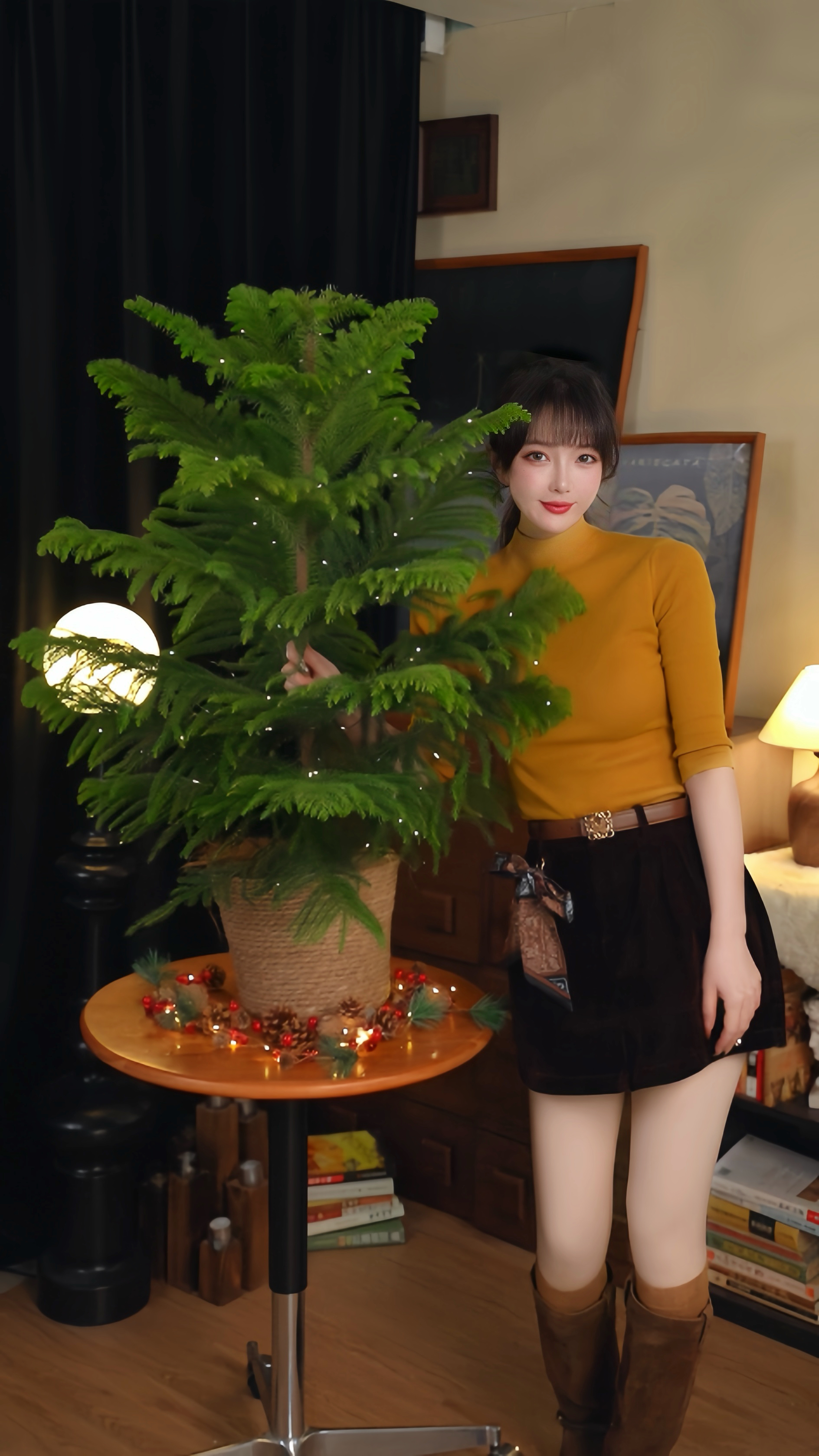 【氛围南洋杉]圣诞树高端绿植南洋杉网红室内客厅落地盆栽四季常青