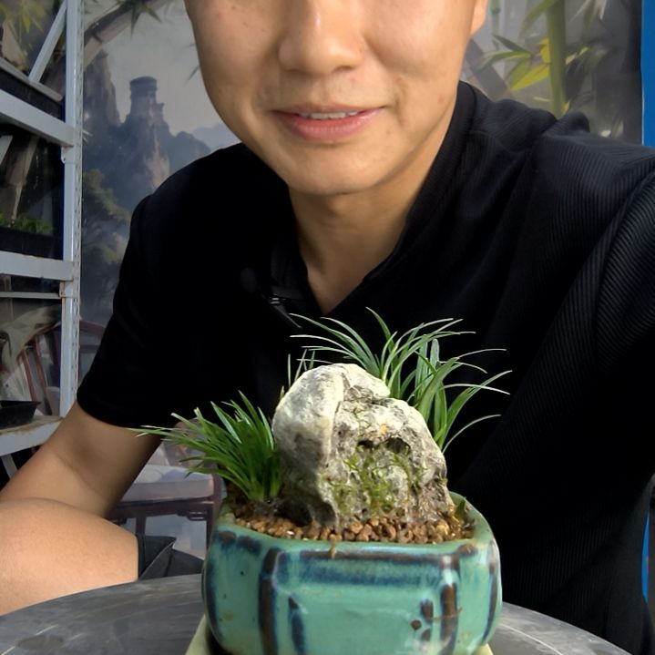 小****?中青园艺一物一拍78