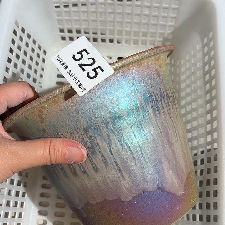 花盆花盆花盆炫彩大福利