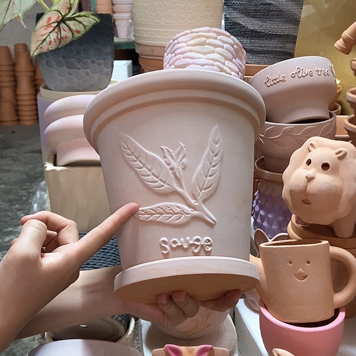 20×19雾化香草+托1个