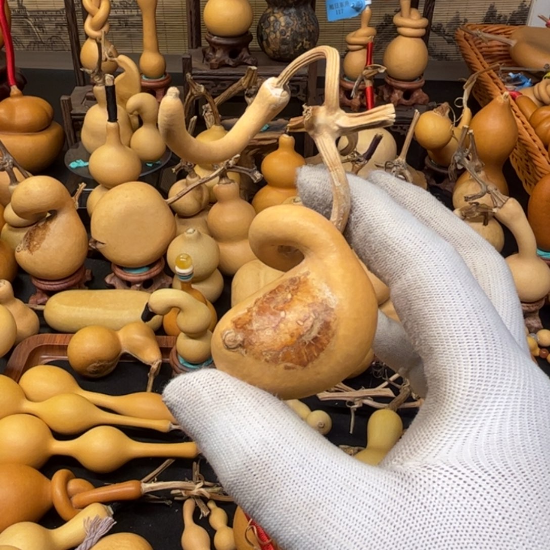 风***走155555555555445445