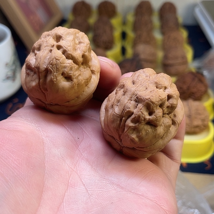 康***宇文玩核桃把件金蟾疙瘩包41