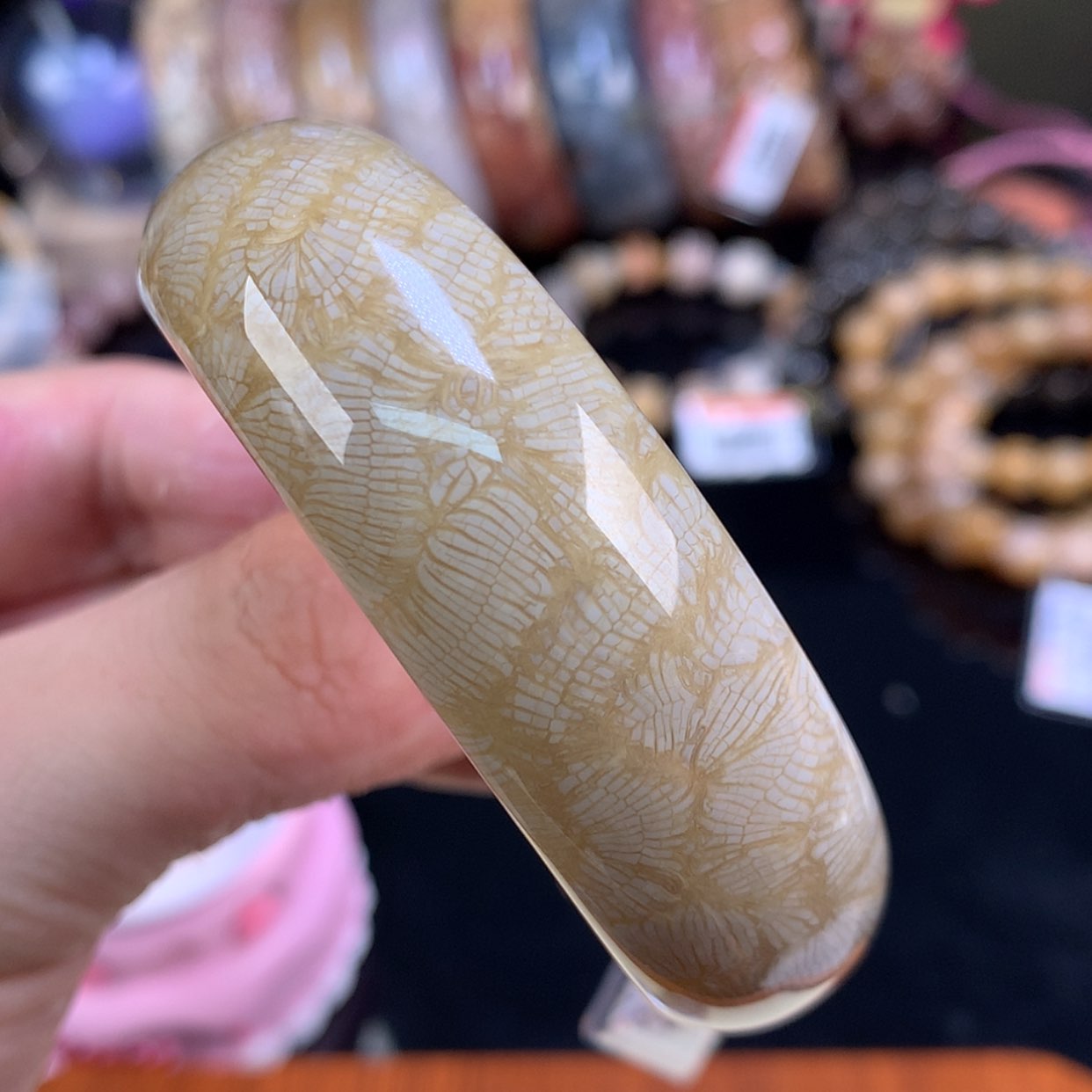 【闪购商品】颈饰未镶嵌硅化珊瑚（珊瑚玉）30号果绿凤尾53.7圈性价比