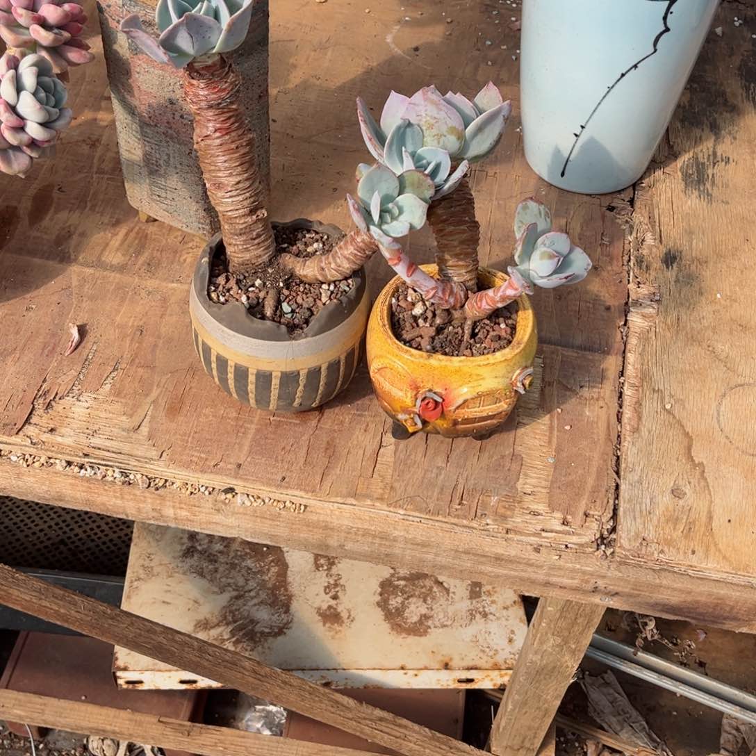 你是不是在外面。你的电