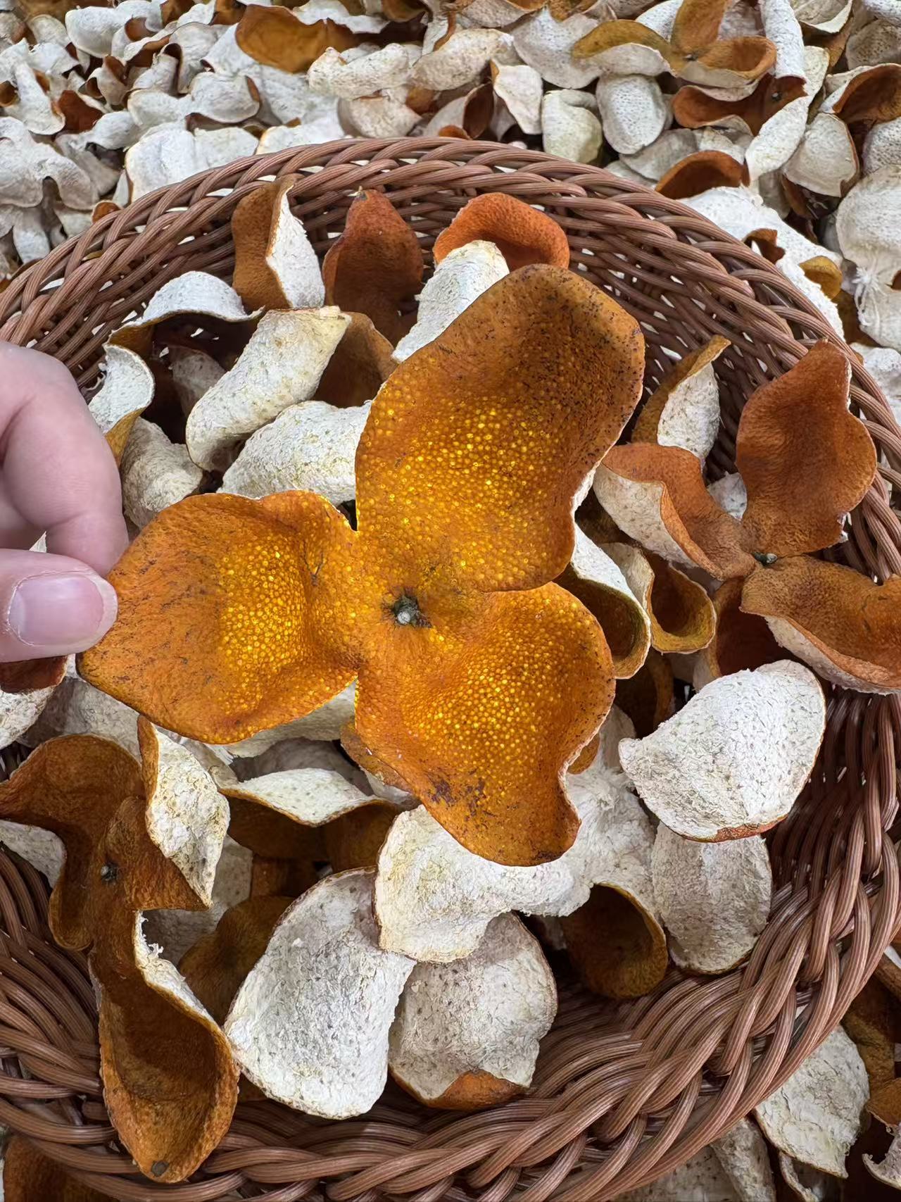 【量大】2025年<天马>冬后大红皮十年<原枝>老树 天然生晒干仓储存