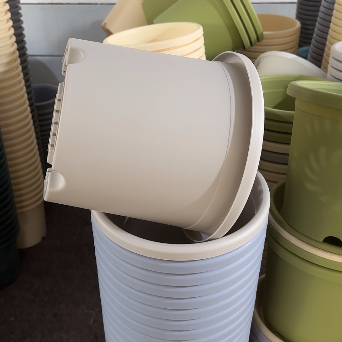 微瑕5号6个无托，灰白