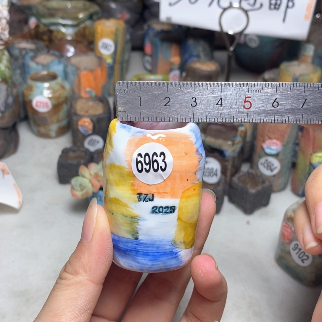 拍3送一个小礼物