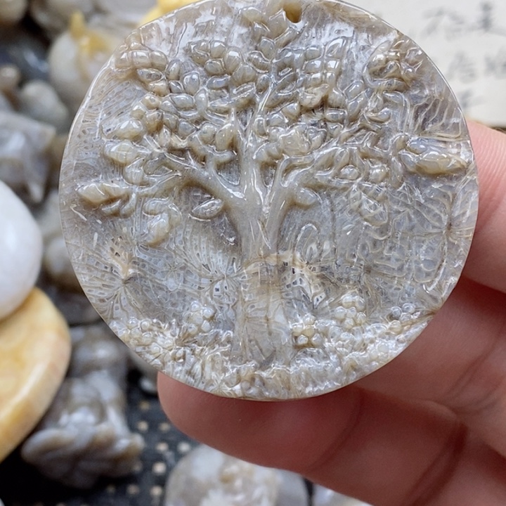 颈饰未镶嵌硅化珊瑚（珊瑚玉）