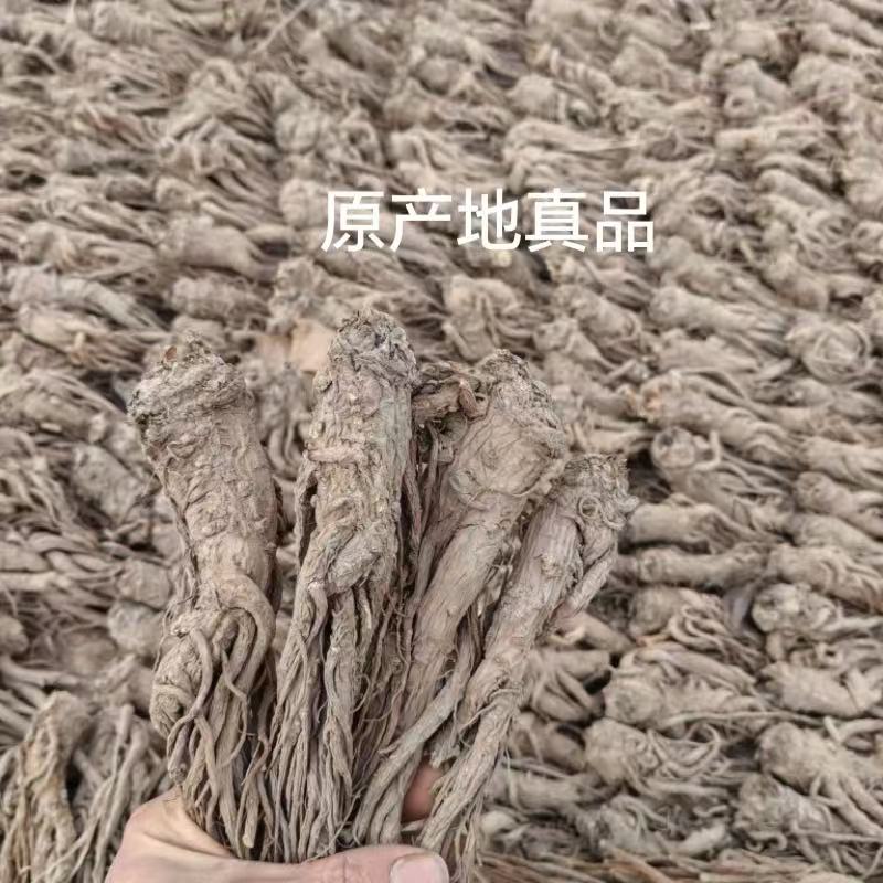 四川大凉山滋补干货当归干货原生态新货好货甜当归自然日晒干
